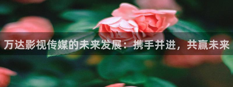 青柠影院高清：万达影视传媒的未来发展：携手并进，共赢未来