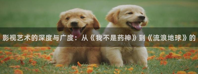 八戒青柠影院：影视艺术的深度与广度：从《我不是药神》到《流浪地球》的